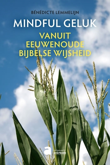 Afbeelding van Mindful geluk