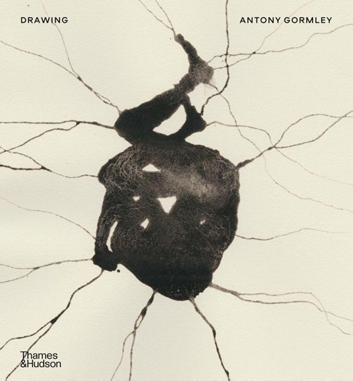 Afbeelding van Drawing: Antony Gormley