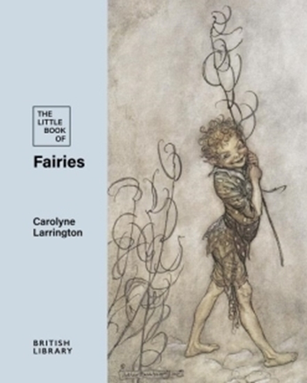Afbeelding van The Little Book of Fairies