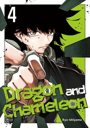 Afbeeldingen van Dragon and Chameleon Dragon and Chameleon 04
