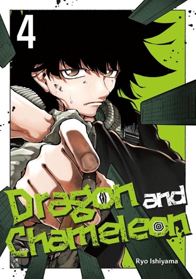 Afbeelding van Dragon and Chameleon Dragon and Chameleon 04