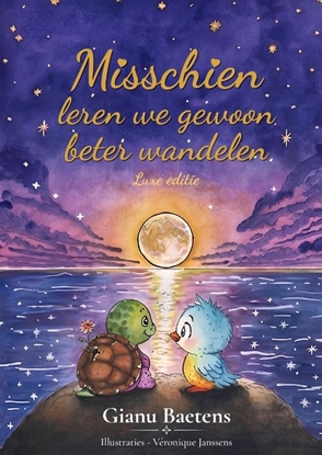Afbeeldingen van Misschien leren we gewoon beter wandelen