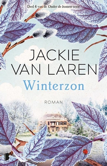 Afbeelding van Winterzon
