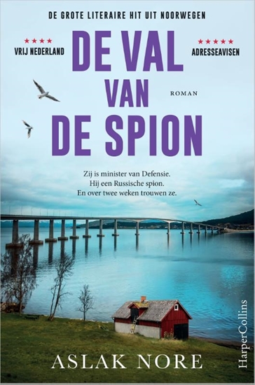 Afbeelding van De val van de spion