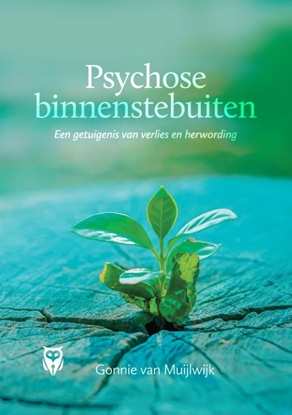 Afbeeldingen van Psychose binnenstebuiten