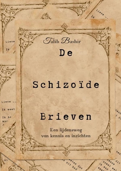 Afbeelding van De schizoïde brieven