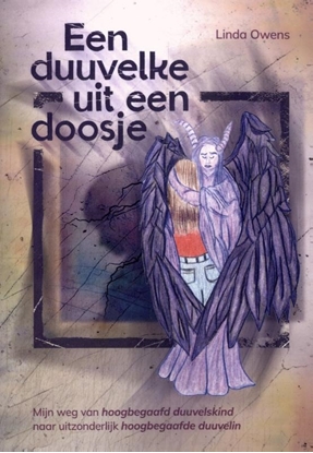 Afbeeldingen van Een duuvelke uit een doosje