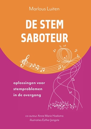 Afbeeldingen van De Stemsaboteur