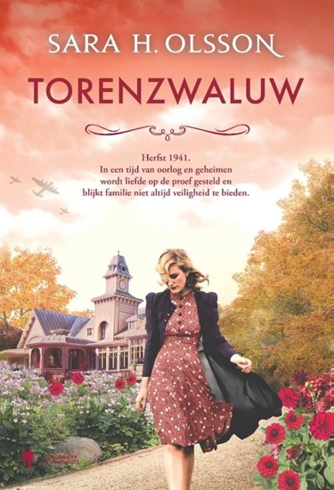 Afbeelding van Torenzwaluw