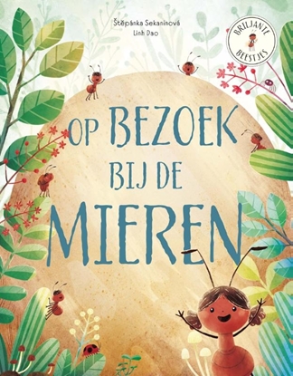 Afbeeldingen van Briljante beestjes Op bezoek bij de mieren