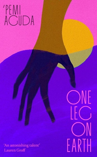 Afbeelding van One Leg on Earth
