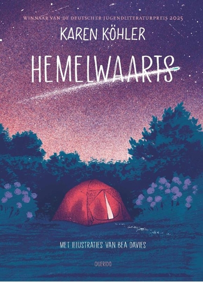 Afbeelding van Hemelwaarts