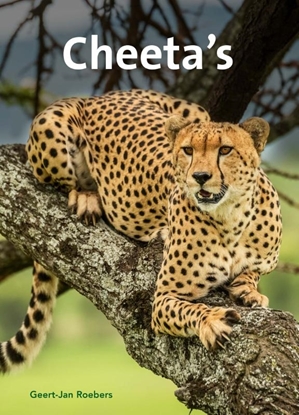 Afbeeldingen van Cheeta's