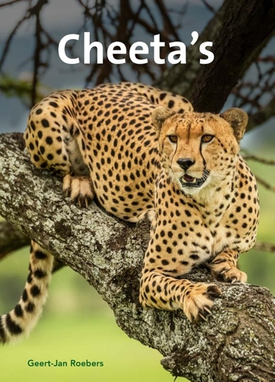 Afbeelding van Cheeta's