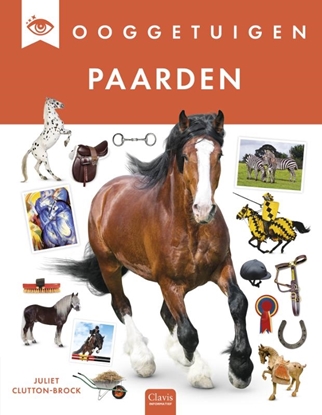 Afbeeldingen van Ooggetuigen Paarden