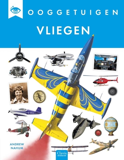 Afbeelding van Ooggetuigen Vliegen
