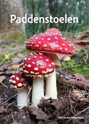 Afbeeldingen van Paddenstoelen