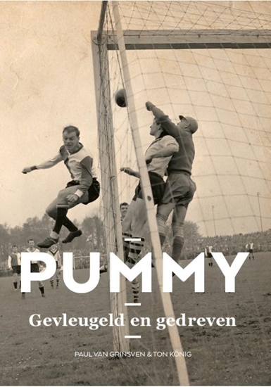 Afbeelding van Pummy