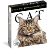 Afbeelding van Cat Page-A-Day® Gallery Calendar 2027