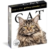 Afbeelding van Cat Page-A-Day® Gallery Calendar 2027