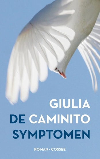 Afbeelding van De symptomen