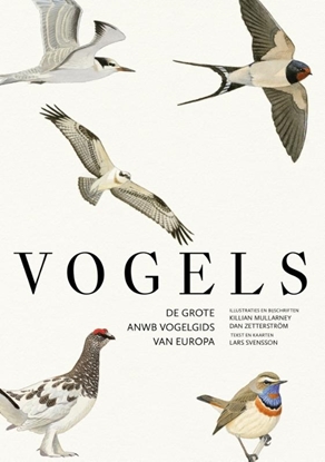 Afbeeldingen van Vogels