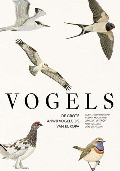 Afbeelding van Vogels