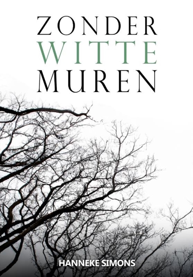 Afbeelding van Zonder witte muren