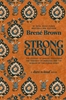 Afbeelding van Vermilion Strong Ground