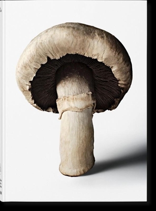 Afbeeldingen van Varia The Gourmand's Mushroom