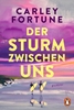 Afbeelding van Der Sturm zwischen uns