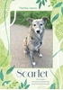 Afbeelding van Scarlet