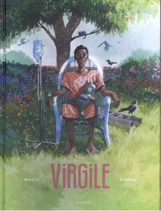 Afbeeldingen van Virgile Virgile