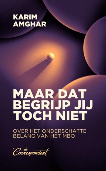 Afbeelding van Maar dat begrijp jij toch niet