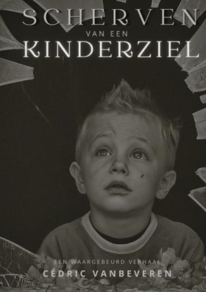 Afbeeldingen van Scherven van een kinderziel