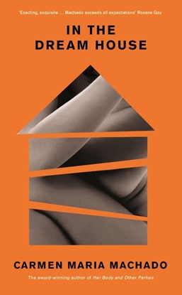 Afbeeldingen van In the Dream House