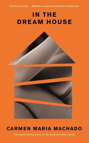 Afbeelding van In the Dream House
