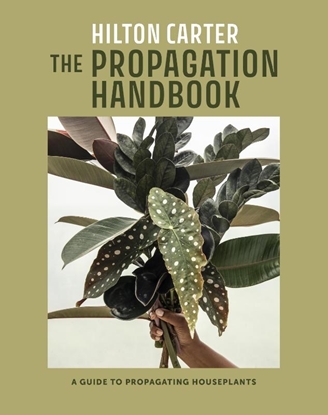 Afbeeldingen van The Propagation Handbook