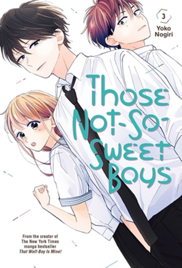 Afbeelding van Those Not-So-Sweet Boys Those Not-So-Sweet Boys 3