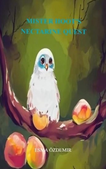 Afbeelding van Mister Hoot's Nectarine Quest