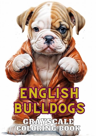 Afbeelding van English Bulldogs