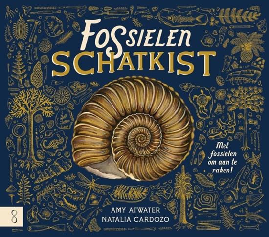 Afbeelding van De fossielenschatkist