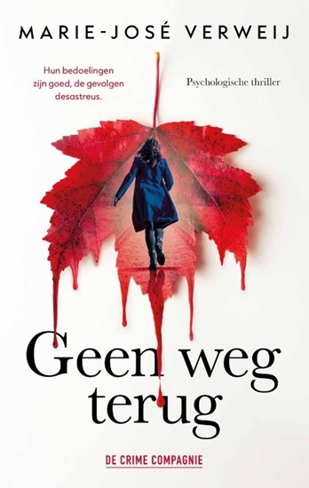 Afbeelding van Geen weg terug