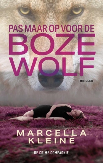 Afbeelding van Pas maar op voor de boze wolf