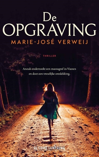 Afbeelding van De opgraving
