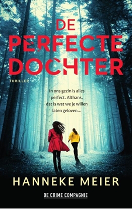 Afbeeldingen van De perfecte dochter