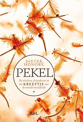 Afbeeldingen van Pekel