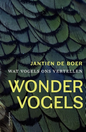 Afbeelding van Wondervogels