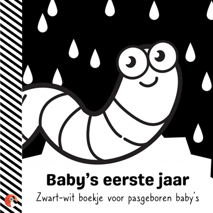 Afbeeldingen van Baby's eerste jaar