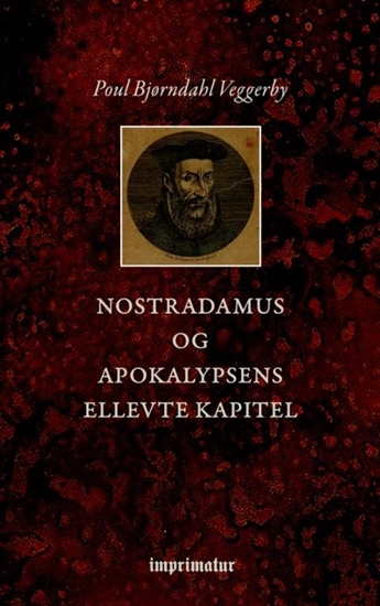 Afbeelding van Nostradamus og Apokalypsens ellevte Kapitel